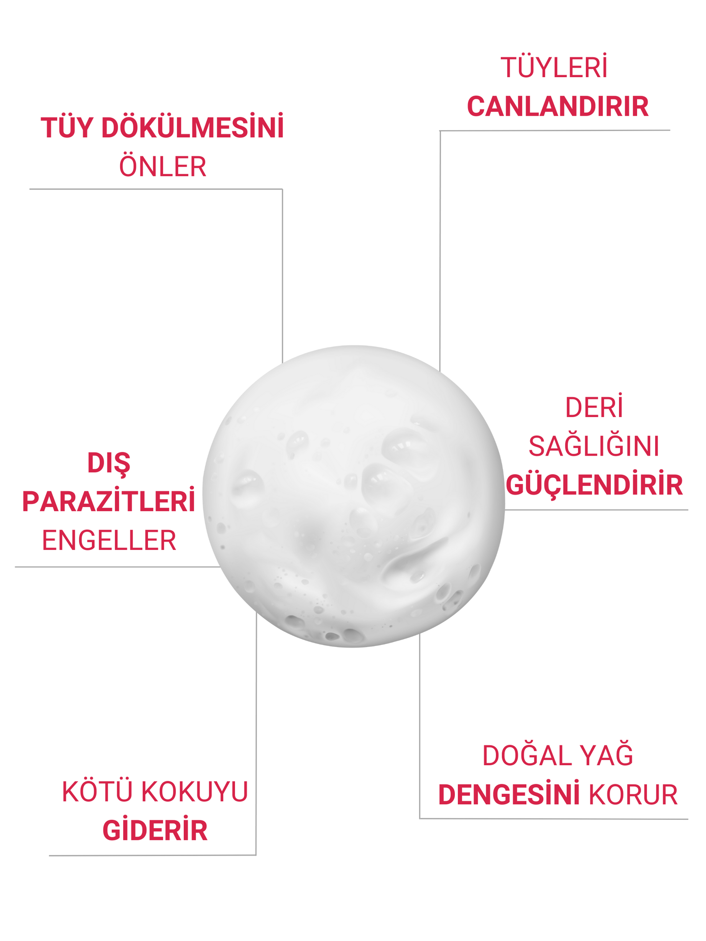 Petiola Tüy Dökülmesini Önleyici ve Tüy Sağlığını Destekleyici Kedilere Özel Kuru Bakım Şampuanı 200 ml