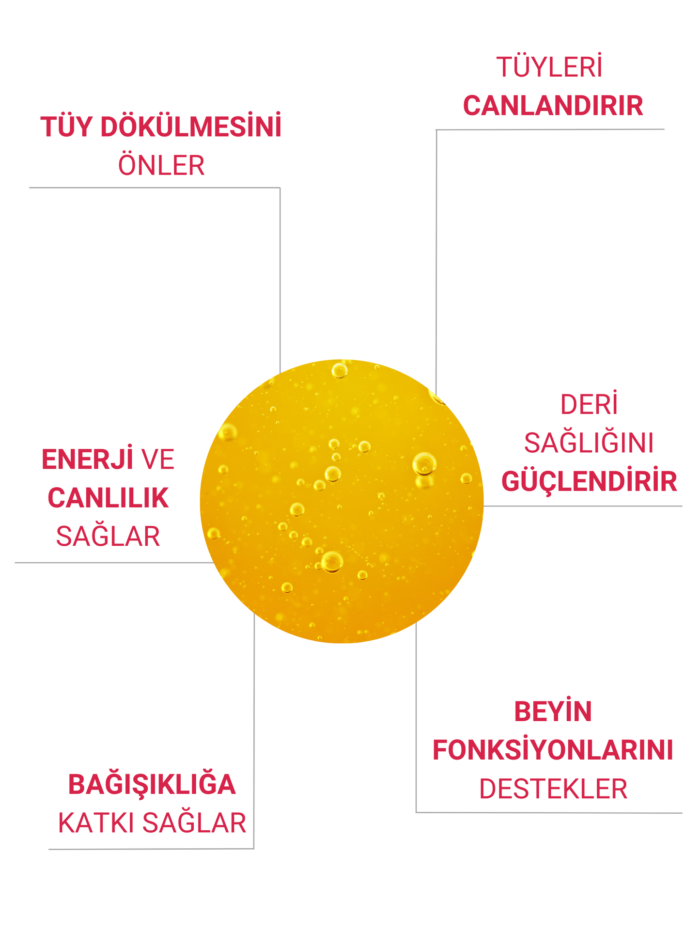 Petiola Tüy Dökülmesini Önleyici ve Tüy Sağlığını Destekleyici Kediler için Balık Yağı Omega 3 ve 6, 200 ml