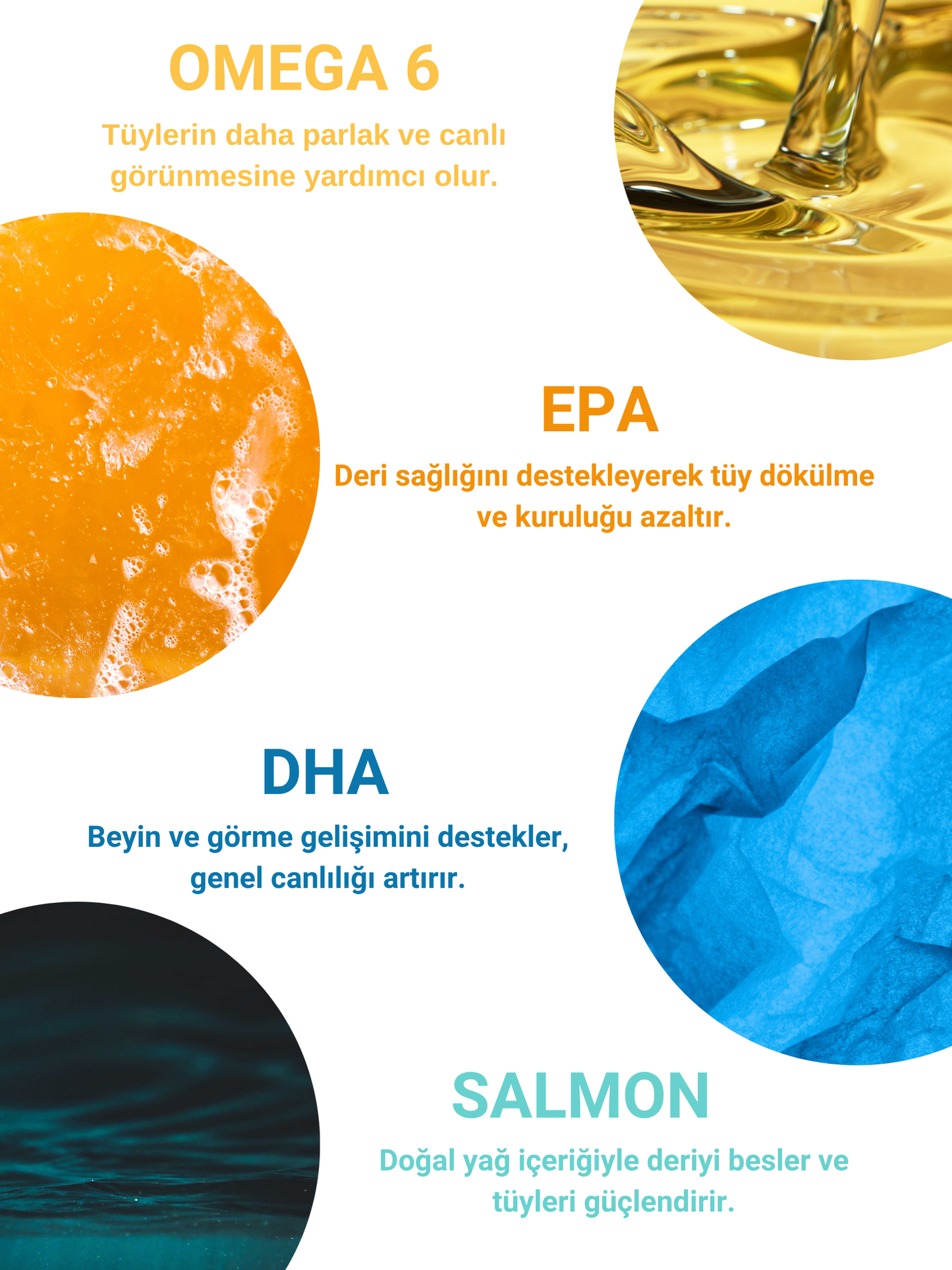 Petiola Tüy Dökülmesini Önleyici ve Tüy Sağlığını Destekleyici Kediler için Balık Yağı Omega 3 ve 6, 200 ml