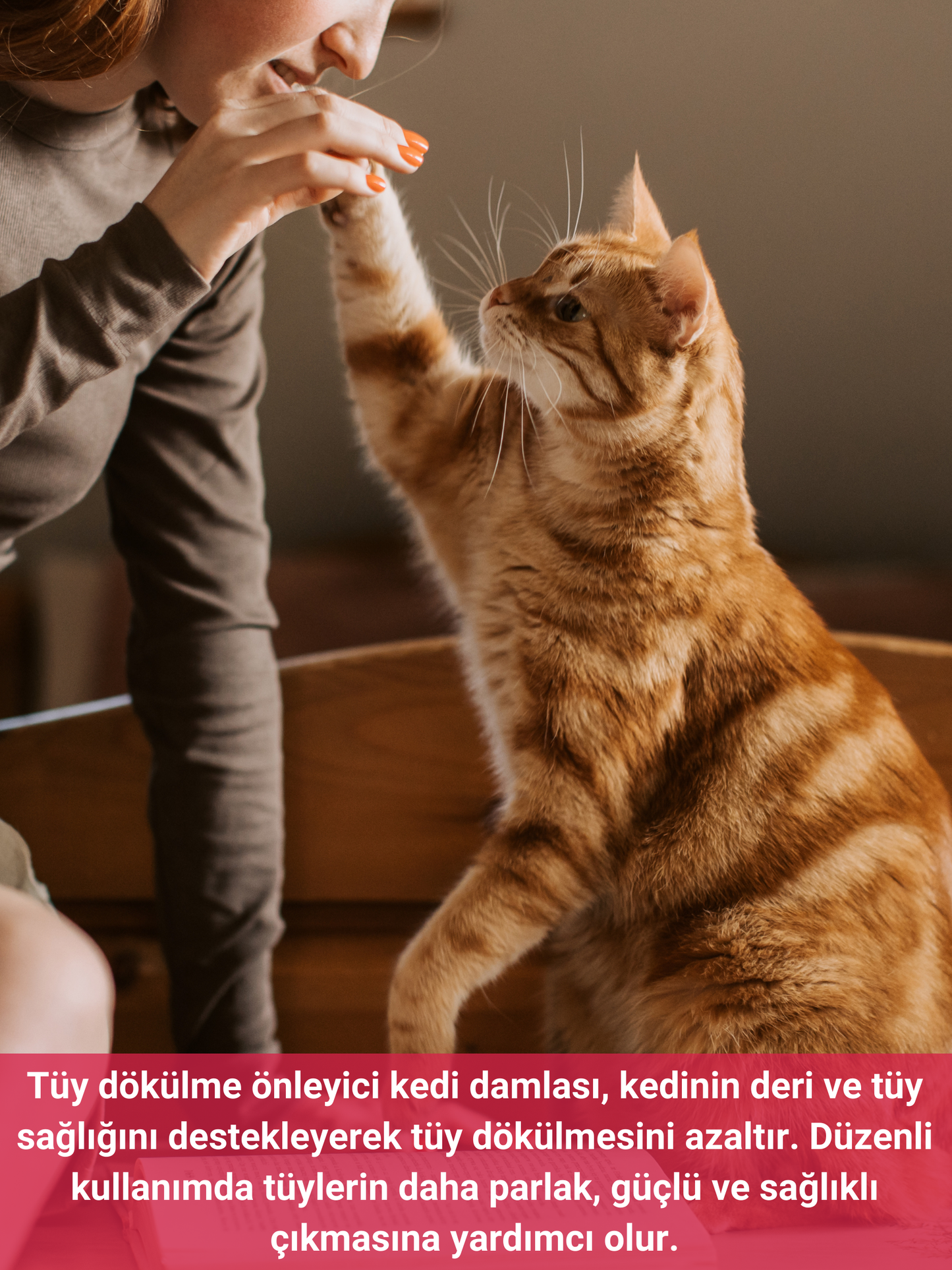 Petiola Tüy Dökülme Engelleyici, Tüy Yumağı Ve Kusma Önleyici Multivitamin Kedi Malt Macun 100 gr