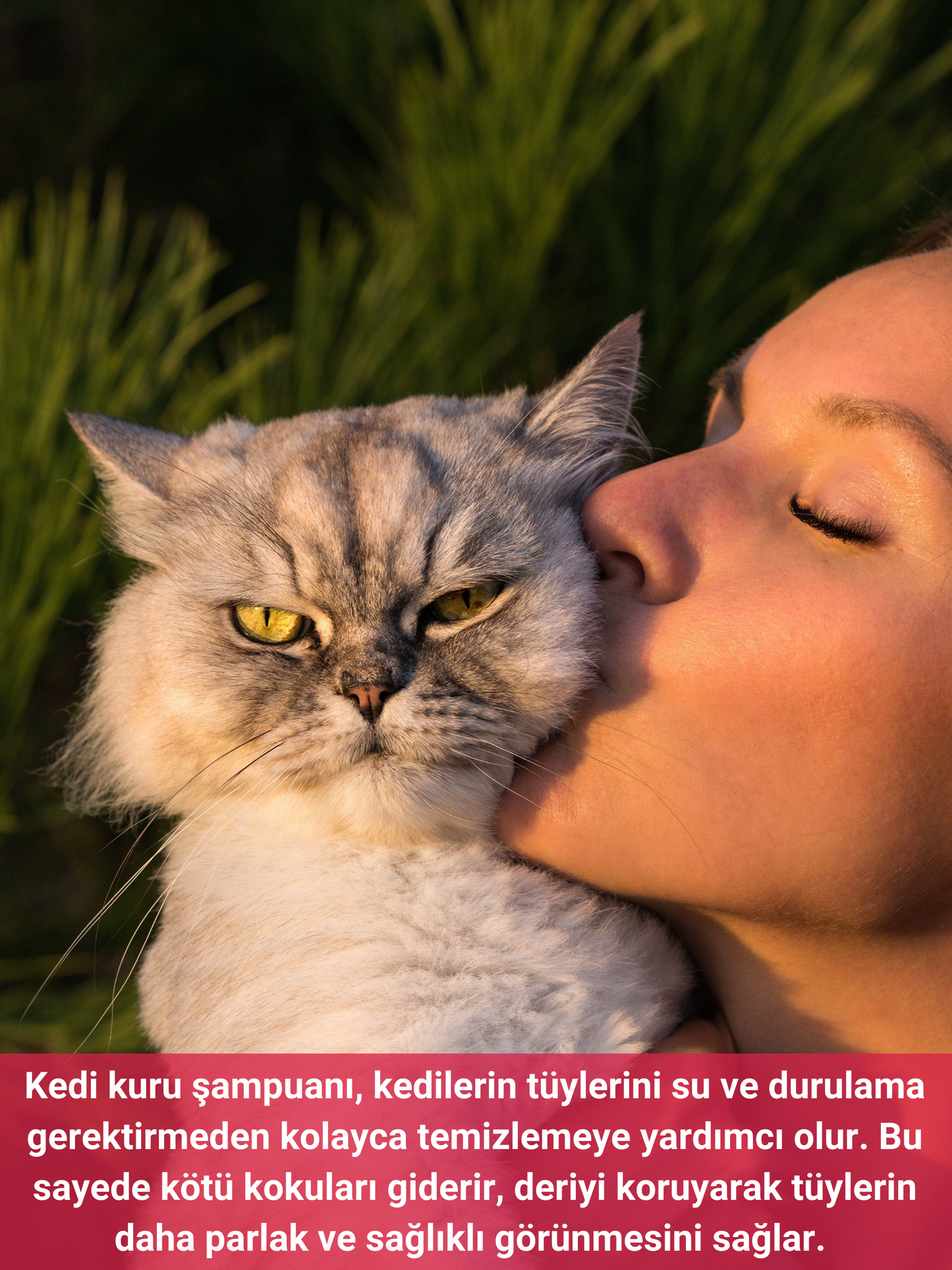 Petiola Tüy Dökülmesini Önleyici ve Tüy Sağlığını Destekleyici Kedilere Özel Kuru Bakım Şampuanı 200 ml