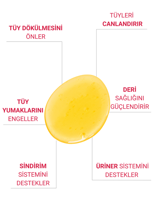 Petiola Tüy Dökülme Engelleyici, Tüy Yumağı Ve Kusma Önleyici Multivitamin Kedi Malt Macun 100 gr
