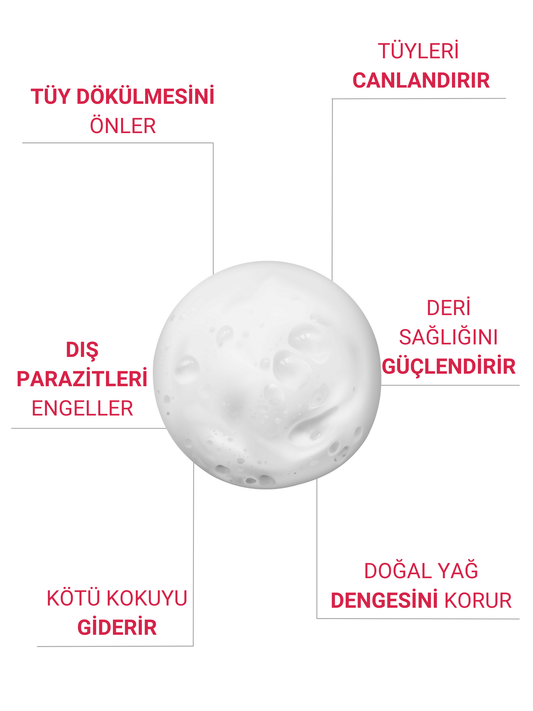 Petiola Tüy Dökülmesini Önleyici ve Tüy Sağlığını Destekleyici Kedilere Özel Kuru Bakım Şampuanı 200 ml
