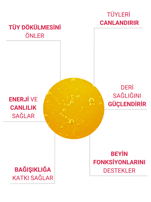 Petiola Tüy Dökülmesini Önleyici ve Tüy Sağlığını Destekleyici Kediler için Balık Yağı Omega 3 ve 6, 200 ml