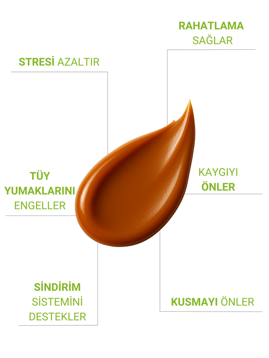 Petiola Stres ve Kaygı Giderici, Tüy Yumağı Ve Kusma Önleyici Multivitamin Kedi Malt Macun 100 gr
