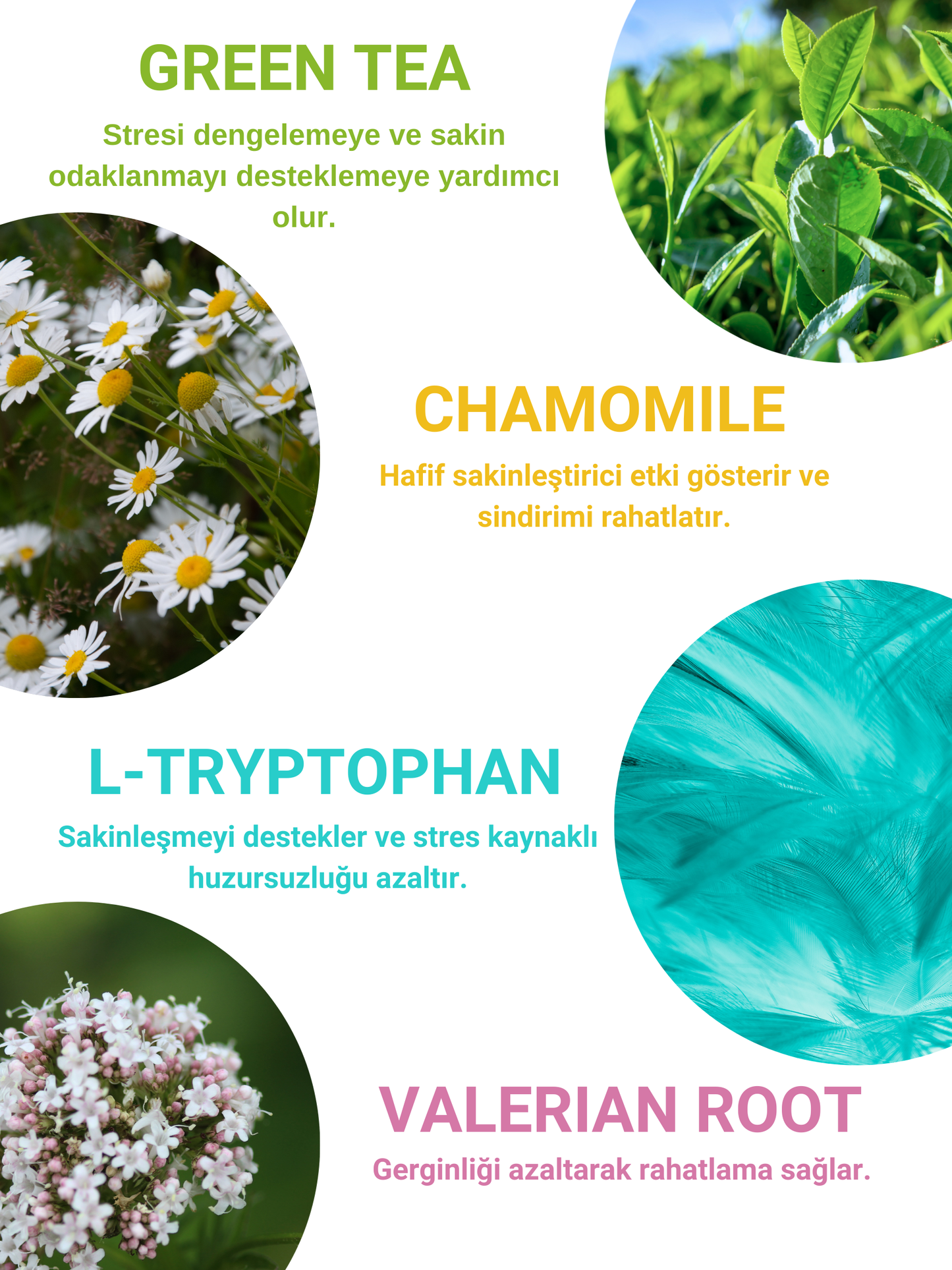 Petiola Stres ve Kaygı Giderici, Tüy Yumağı Ve Kusma Önleyici Multivitamin Kedi Malt Macun 100 gr