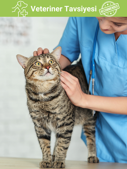 Petiola Stres ve Kaygı Giderici, Tüy Yumağı Ve Kusma Önleyici Multivitamin Kedi Malt Macun 100 gr