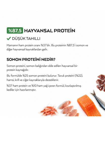 Ultra Premium Kısırlaştırılmış Somonlu Kuru Kedi Maması 2 Kg