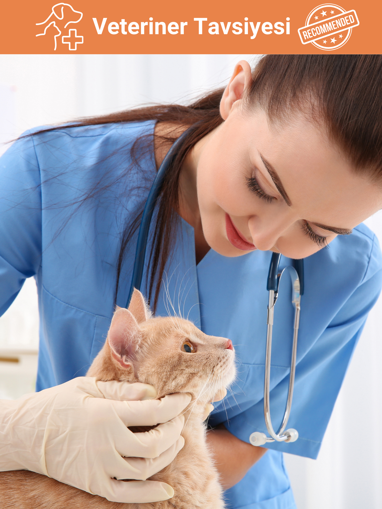 Petiola Sindirim Düzenleyici, Tüy Yumağı Ve Kusma Önleyici Multivitamin Kedi Malt Macun 100 gr