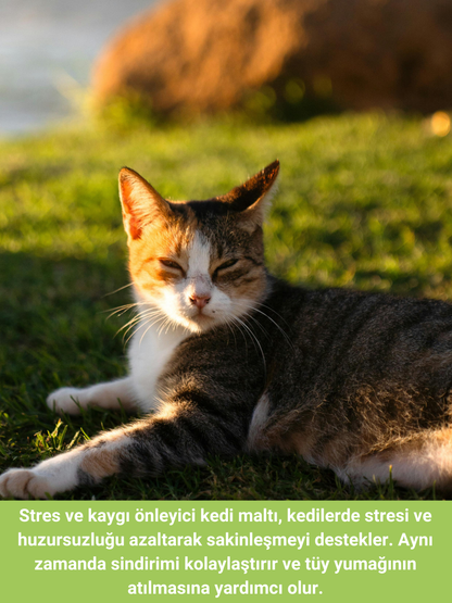 Petiola Stres ve Kaygı Giderici, Tüy Yumağı Ve Kusma Önleyici Multivitamin Kedi Malt Macun 100 gr