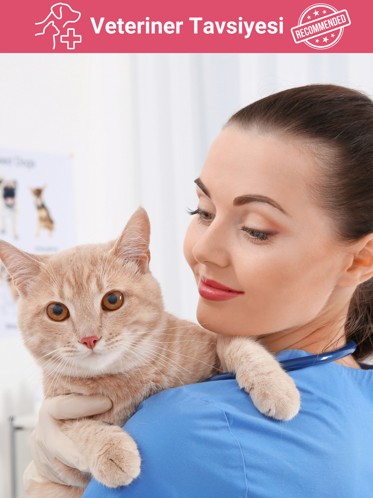 Ultra Premium Kısırlaştırılmış Somonlu Kuru Kedi Maması 2 Kg