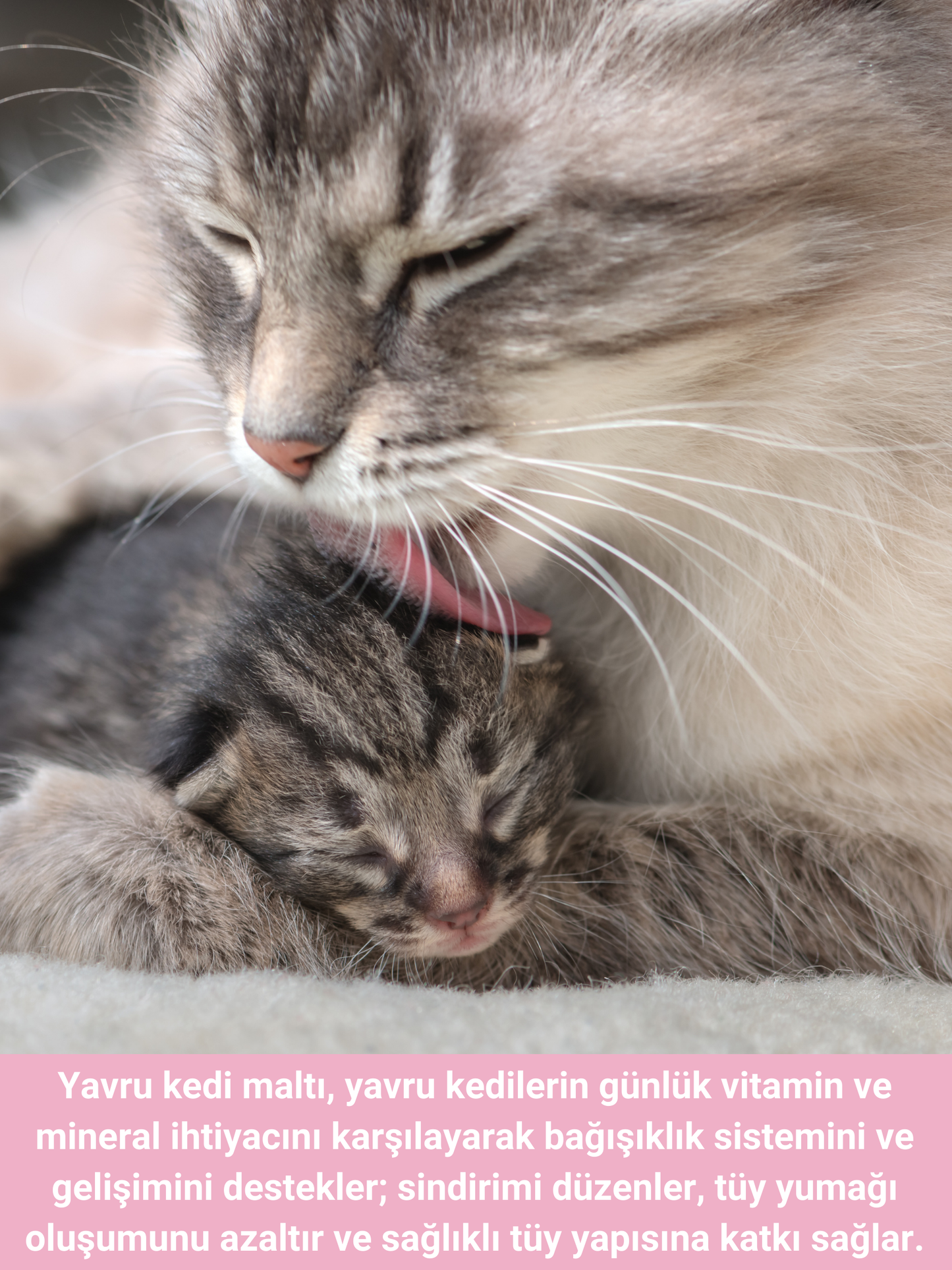 Petiola Yavru ve Anne Kediler İçin, Tüy Yumağı Ve Kusma Önleyici Multivitamin Kedi Malt Macun 100 gr