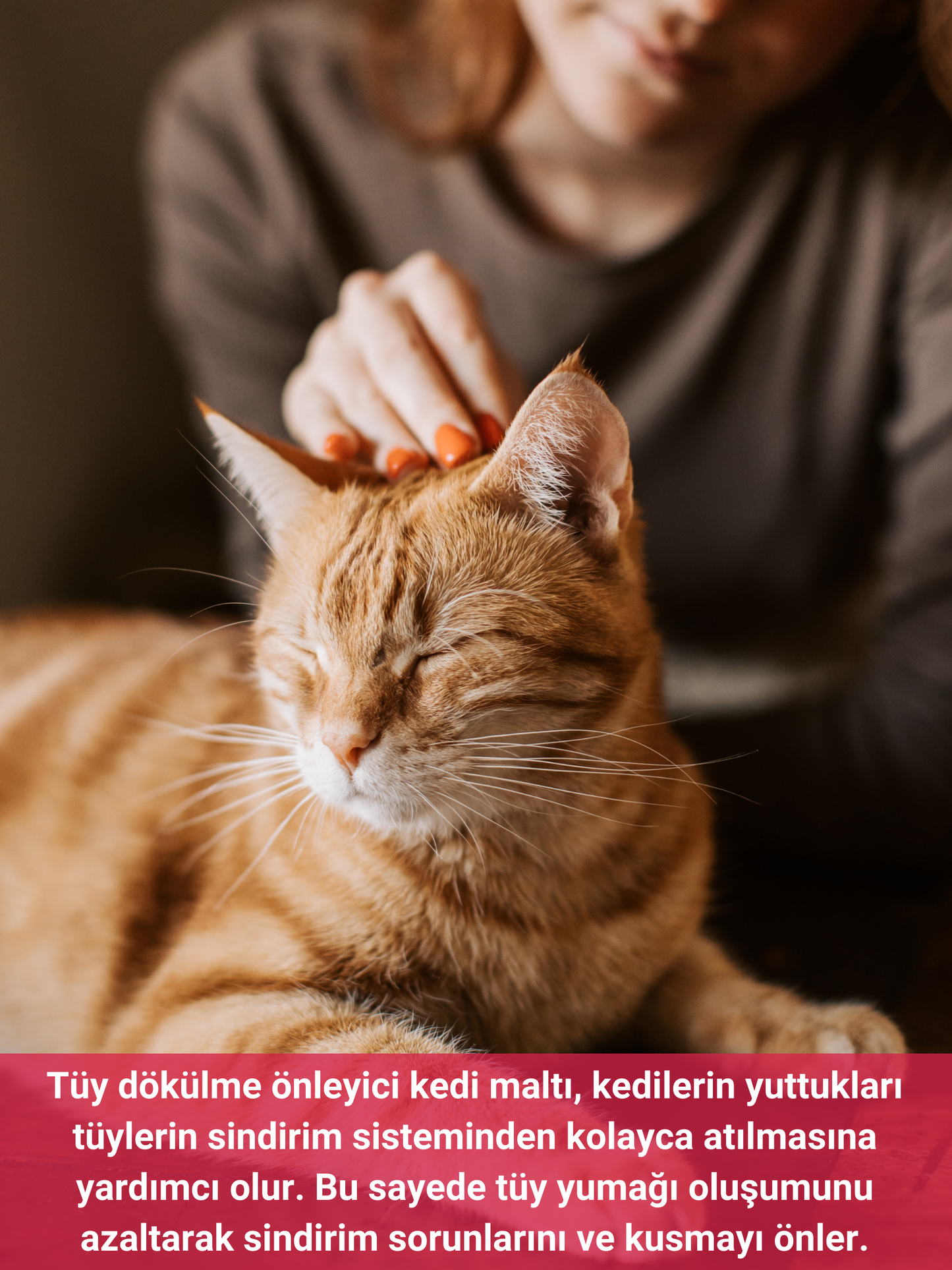 Petiola Tüy Dökülme Engelleyici, Tüy Yumağı Ve Kusma Önleyici Multivitamin Kedi Malt Macun 100 gr